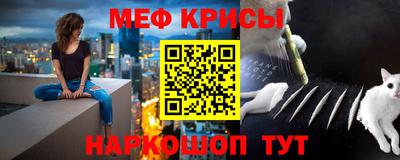 стафф Майкоп